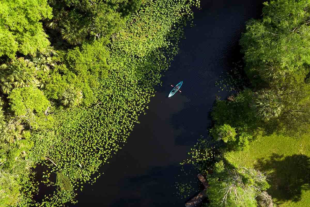 Outdoor Activities in Florida: Water Sports and Entertainment