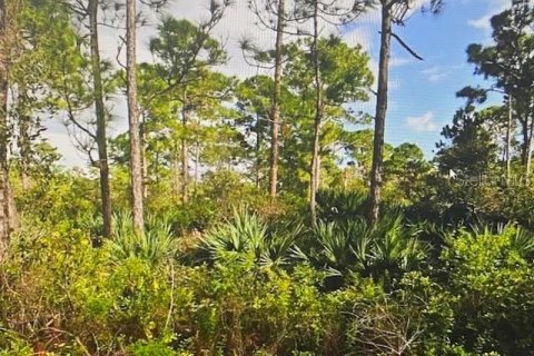 Land in St. Lucie, Florida № 2225149