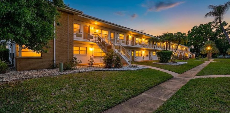 Condo à Saint Petersburg, Floride, 2 chambres № 2150861