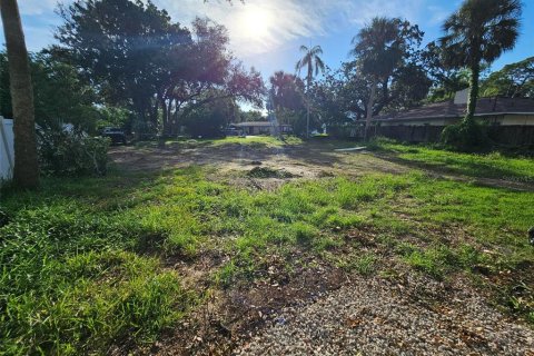 Terreno en venta en Tampa, Florida № 1919580 - foto 1