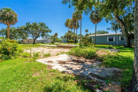 Land in Edgewater, Florida № 1513912 - photo 7