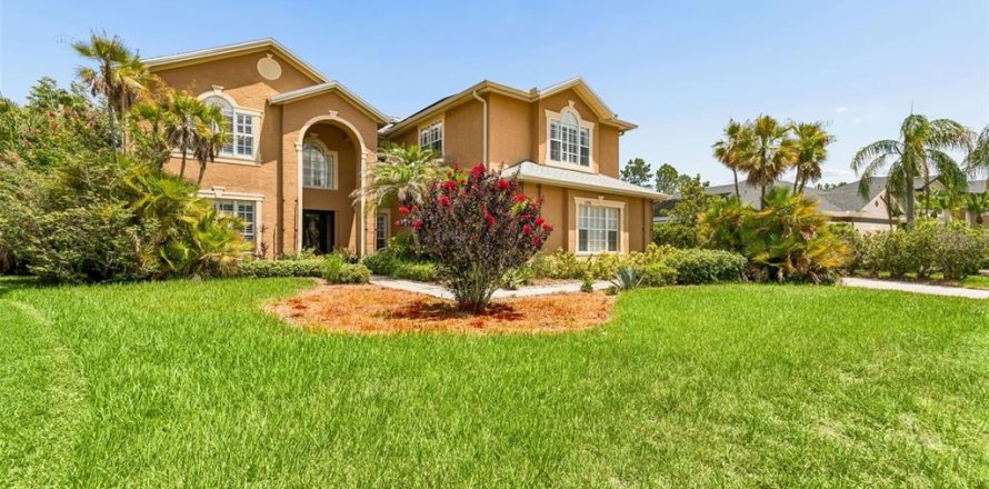 Casa en Tampa, Florida 5 dormitorios, 394.65 m2 № 2150661