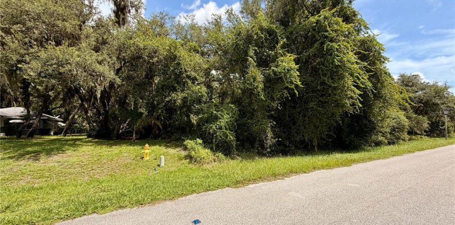 Terrain à Sebring, Floride № 2201531