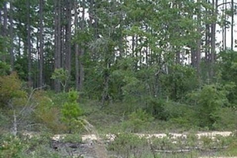 Land in De Funiak Springs, Florida № 558252 - photo 1