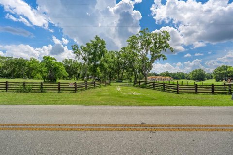 Land in Mount Dora, Florida № 1869606 - photo 5