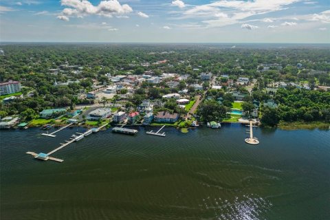 Land in Mount Dora, Florida № 1869606 - photo 30