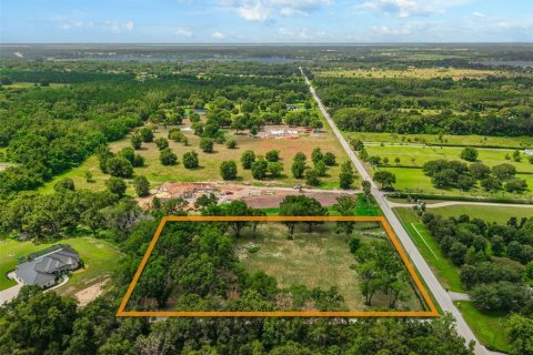 Land in Mount Dora, Florida № 1869606 - photo 21