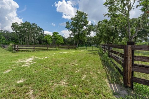 Land in Mount Dora, Florida № 1869606 - photo 4