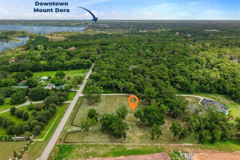 Land in Mount Dora, Florida № 1869606 - photo 18
