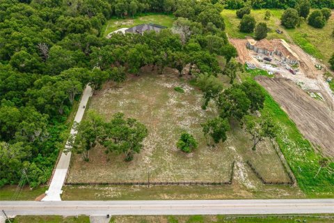 Land in Mount Dora, Florida № 1869606 - photo 11