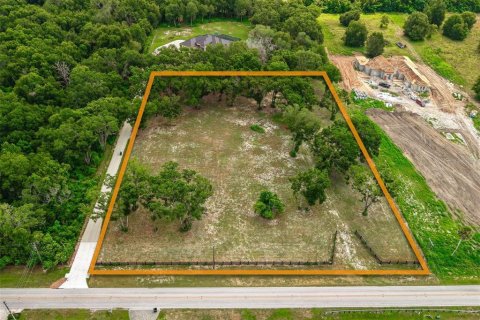 Land in Mount Dora, Florida № 1869606 - photo 10