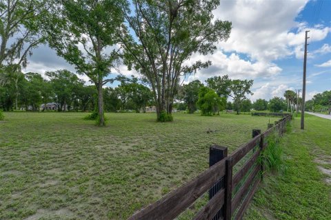 Land in Mount Dora, Florida № 1869606 - photo 1