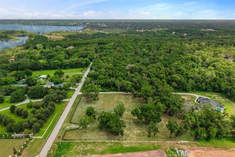 Land in Mount Dora, Florida № 1869606 - photo 20