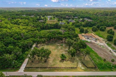 Land in Mount Dora, Florida № 1869606 - photo 12