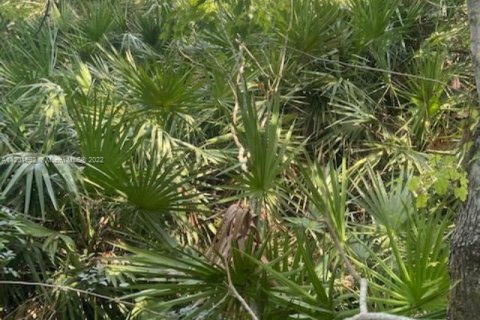 Land in Clewiston, Florida № 52564 - photo 1