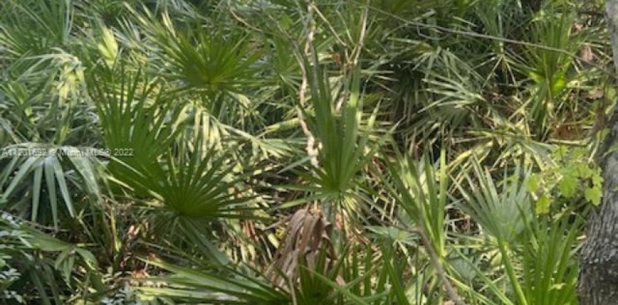 Land in Clewiston, Florida № 52564