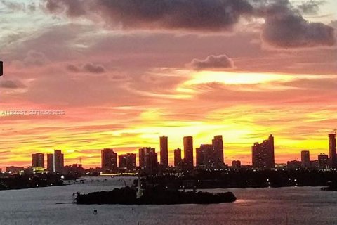 Condo à Miami Beach, Floride, 1 chambre  № 2025785