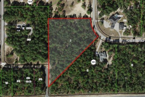 Terreno en Beverly Hills, Florida № 2218175