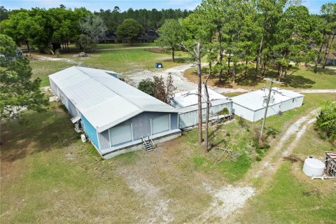 Commercial property in Eustis, Florida 331.85 sq.m. № 2213099 - photo 14