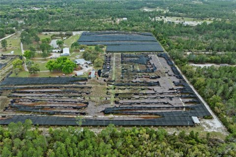 Commercial property in Eustis, Florida 331.85 sq.m. № 2213099 - photo 6
