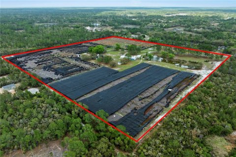 Commercial property in Eustis, Florida 331.85 sq.m. № 2213099 - photo 4