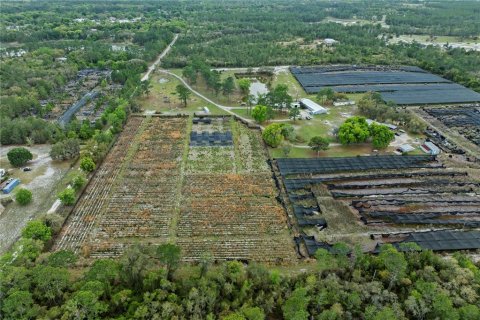 Commercial property in Eustis, Florida 331.85 sq.m. № 2213099 - photo 5