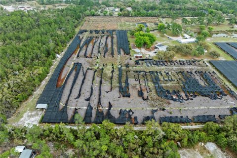 Commercial property in Eustis, Florida 331.85 sq.m. № 2213099 - photo 7