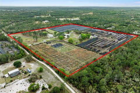 Commercial property in Eustis, Florida 331.85 sq.m. № 2213099 - photo 2