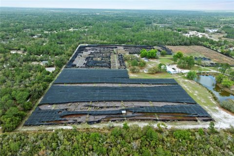 Commercial property in Eustis, Florida 331.85 sq.m. № 2213099 - photo 8