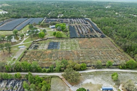 Commercial property in Eustis, Florida 331.85 sq.m. № 2213099 - photo 10