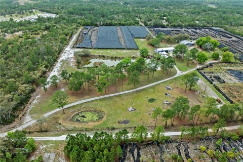 Commercial property in Eustis, Florida 331.85 sq.m. № 2213099 - photo 9