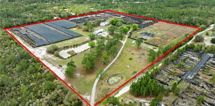 Commercial property in Eustis, Florida 331.85 sq.m. № 2213099
