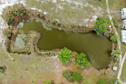 Commercial property in Eustis, Florida 331.85 sq.m. № 2213099 - photo 11