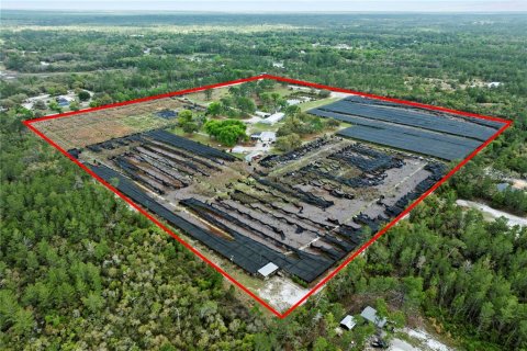 Commercial property in Eustis, Florida 331.85 sq.m. № 2213099 - photo 3