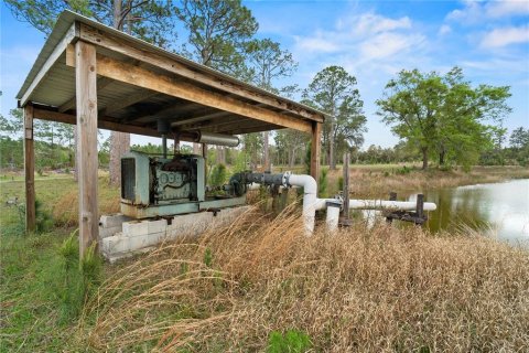 Commercial property in Eustis, Florida 331.85 sq.m. № 2213099 - photo 12