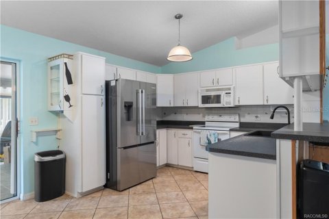 Villa ou maison à vendre à Hernando, Floride: 3 chambres, 134.52 m2 № 2347179 - photo 13