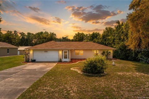 House in Hernando, Florida 3 bedrooms, 134.52 sq.m. № 2347179