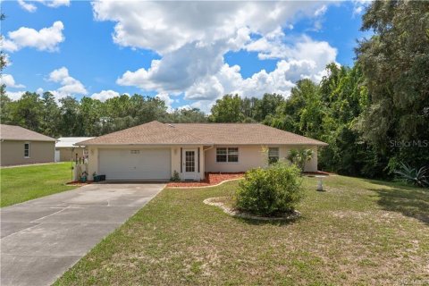 Villa ou maison à vendre à Hernando, Floride: 3 chambres, 134.52 m2 № 2347179 - photo 3