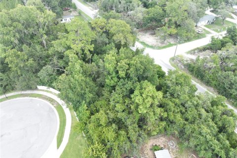 Land in New Port Richey, Florida № 2167864 - photo 2