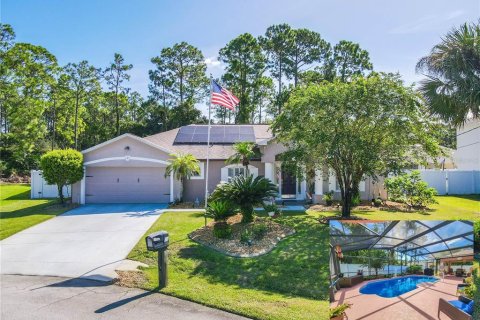 Villa ou maison à Palm Coast, Floride 3 chambres, 187.11 m2 № 2403329