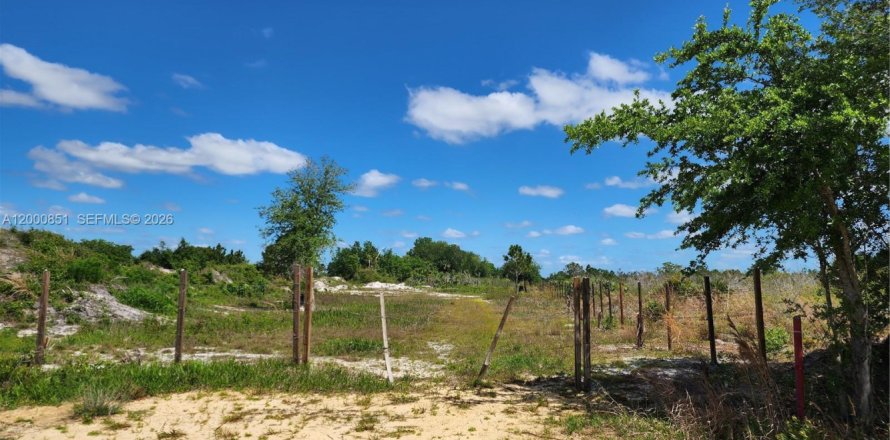 Immobilier commercial à Okeechobee, Floride № 2170188