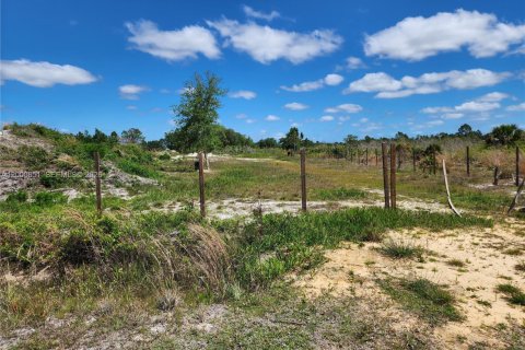 Immobilier commercial à vendre à Okeechobee, Floride № 2170188 - photo 3