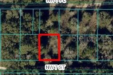 Land in Ocala, Florida № 2162898 - photo 2