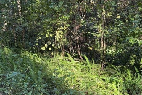 Land in Ocala, Florida № 2162898