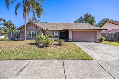 House in Brandon, Florida 3 bedrooms, 145.11 sq.m. № 2227104