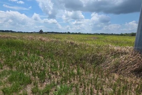 Terrain à vendre à Wauchula, Floride № 2147700 - photo 5