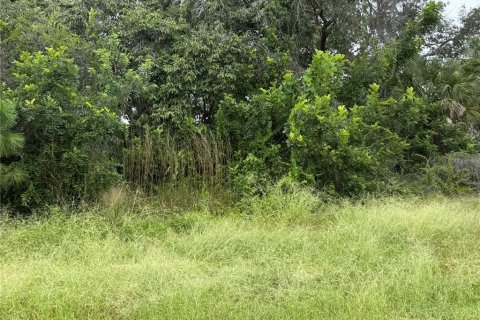 Land in Englewood, Florida № 1905392 - photo 1