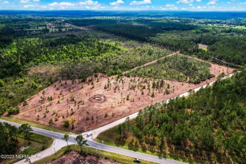 Land in Hilliard, Florida № 832180 - photo 1