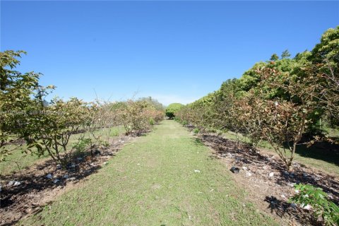 Villa ou maison à vendre à Homestead, Floride: 4 chambres, 305.74 m2 № 2152591 - photo 29