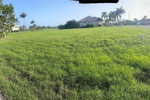 Terreno en venta en Punta Gorda, Florida № 1745158 - foto 11
